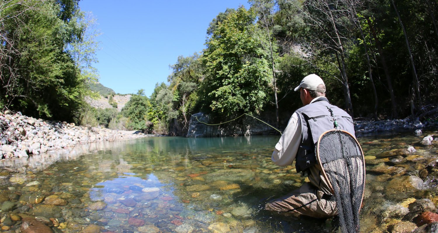 Fly fisherman fishing trouts in freshwater river